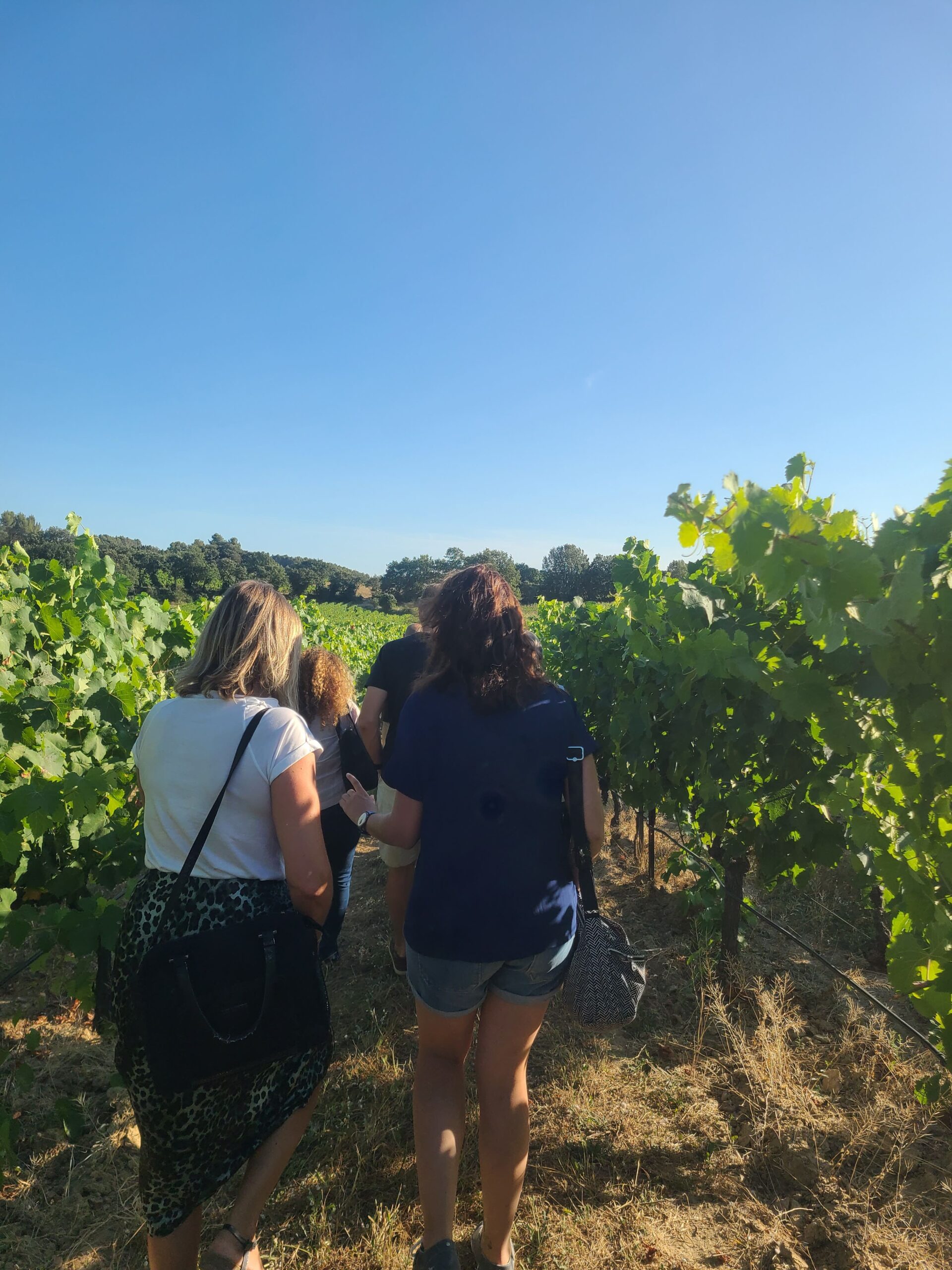 Sunsets vignerons domaine Le Novi