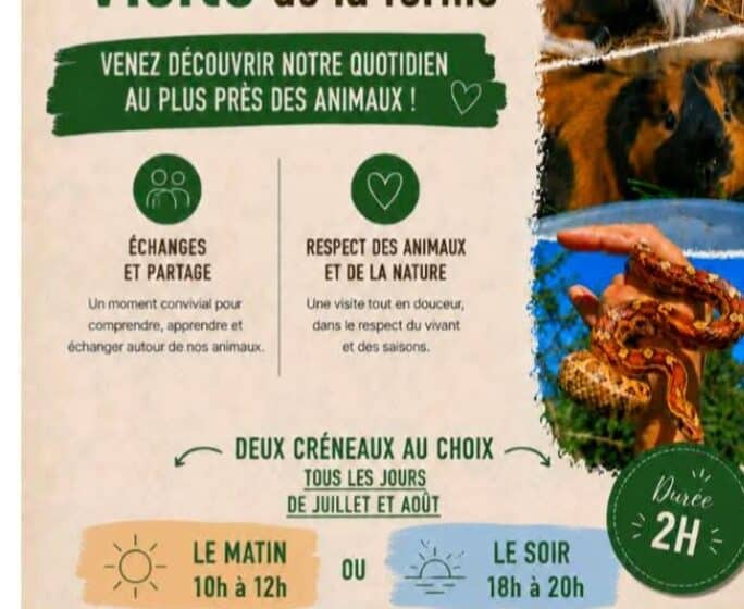 Visite de ferme pédagogique à l'Esat du Grand Réal à La Bastidonne_La Bastidonne