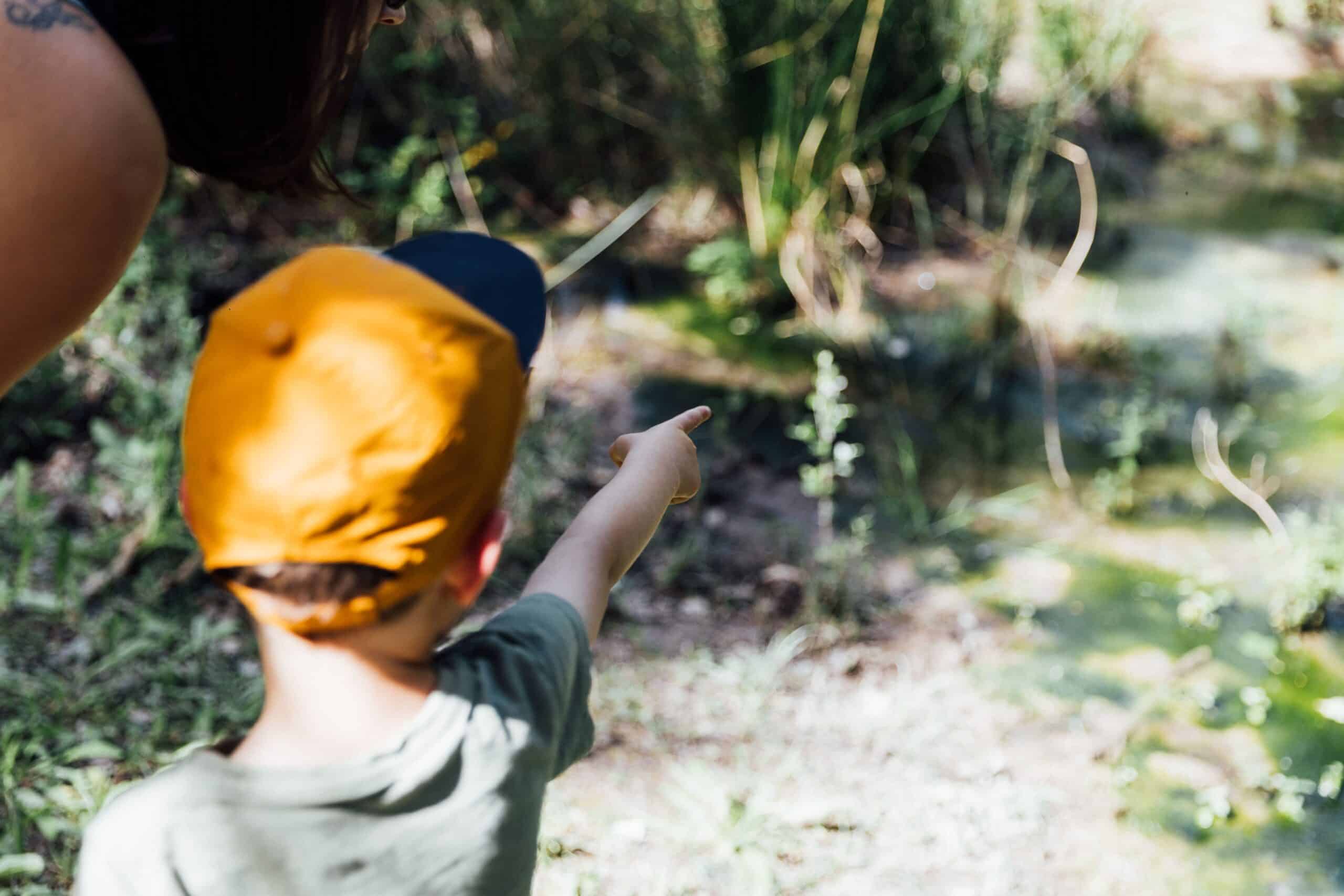 Les activités kids friendly en sud luberon
