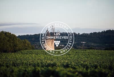 Vignobles en Scène : CHÂTEAU DE SANNES – Les secrets du Grand Blanc : de la vigne au verre_Sannes