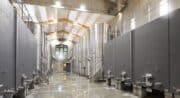 Vignobles en Scène : CHÂTEAU DE SANNES - Les secrets du Grand Blanc : de la vigne au verre_Sannes