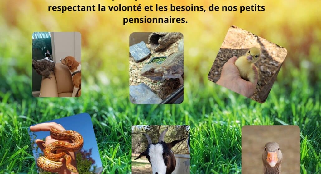 Stage Petit Fermier à La Bastidonne_La Bastidonne