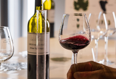 Atelier Ampélographie : de la vigne au vin à La Cavale – Cucuron_Cucuron