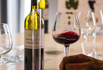 Atelier Ampélographie : de la vigne au vin à La Cavale – Cucuron_Cucuron