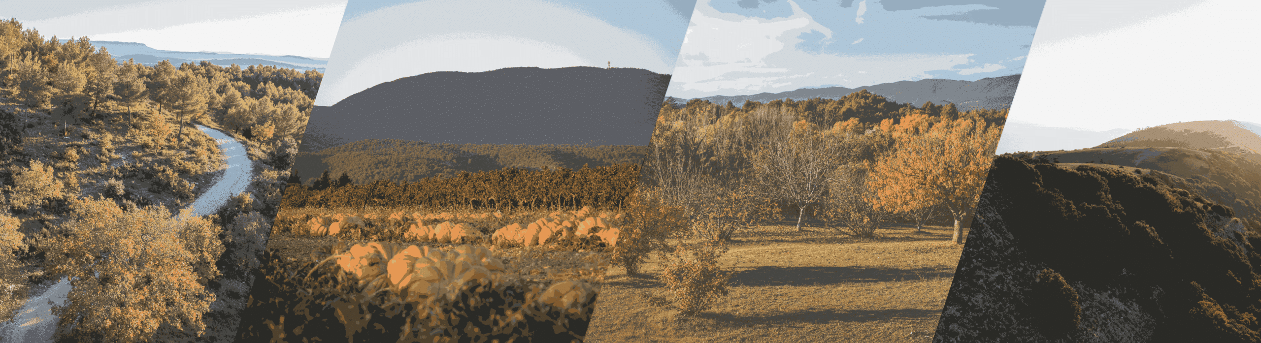 L'automne dans le sud luberon