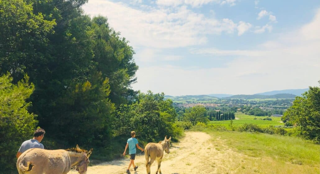 Balade avec des ânes au départ de La Tour d'Aigues_La Tour-d'Aigues