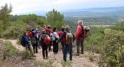 Sortie buissonnière "Entre sentiers sauvages et crêtes panoramiques du Grand Luberon"_Lourmarin