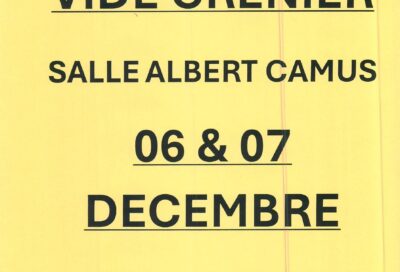 Vide Grenier Lourmarin_Lourmarin