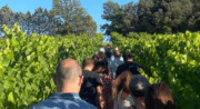 Au coeur du vignoble au Domaine " Le Novi"_La Tour-d'Aigues