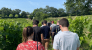 Au coeur du vignoble au Domaine " Le Novi"_La Tour-d'Aigues