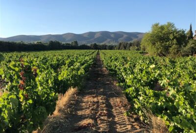 Syndicat des Vins du Luberon