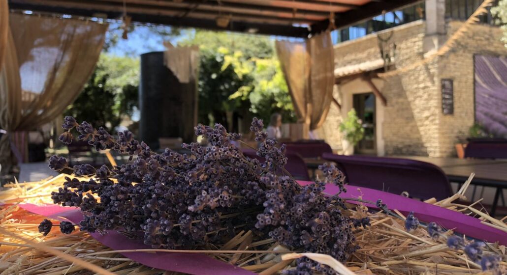 Peace, Love and Lavender au Musée de la Lavande_Cabrières-d'Avignon