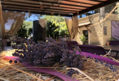Peace, Love and Lavender au Musée de la Lavande_Cabrières-d’Avignon
