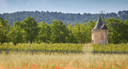 SUNSET SESSION AU CŒUR DU LUBERON au Château de Sannes_Sannes