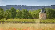 SUNSET SESSION AU CŒUR DU LUBERON au  Château de Sannes_Sannes