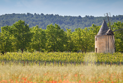 SUNSET SESSION AU CŒUR DU LUBERON au Château de Sannes_Sannes