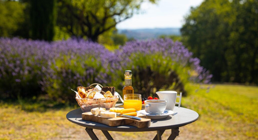 Ouverture le 5 juin 2026 . L'Oasis du Luberon - Bar à vin-_Villelaure