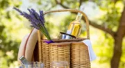 Ouverture le 5 juin 2026 . L'Oasis du Luberon - Bar à vin-_Villelaure