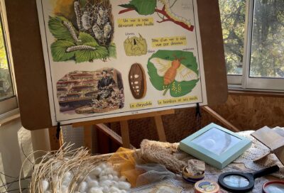 Au fil de la soie à Grambois_Grambois