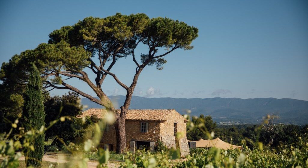 Atelier assemblage d'huile d'olive au Domaine des Perpetus_La Tour-d'Aigues
