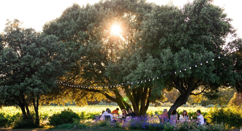 Ambiance chill aux Perpetus