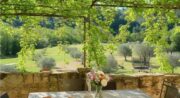 Le Relais des Oliviers