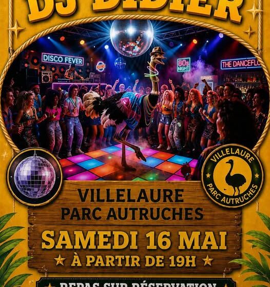 Soirée disco années 80 dj didier
