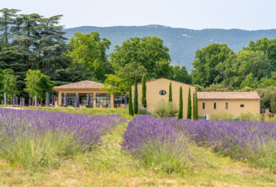 De la vigne au verre au Château de Sannes_Sannes