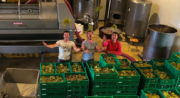 Sunsets vignerons en Luberon au Domaine du Coffre_Pertuis
