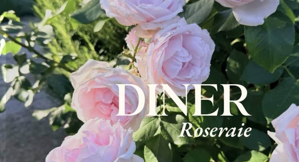 Dîner Roseraie au Domaine de Fontenille_Lauris