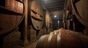 Foulée Soprano au Château Clapier à Mirabeua