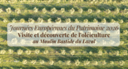 Visite et découverte de l’oléiculture au Moulin Bastide du Laval