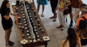 Visite et découverte de l’oléiculture au Moulin Bastide du Laval