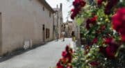 Les Journées Européennes du partimoine à Peypin d' Aigues_Peypin-d'Aigues