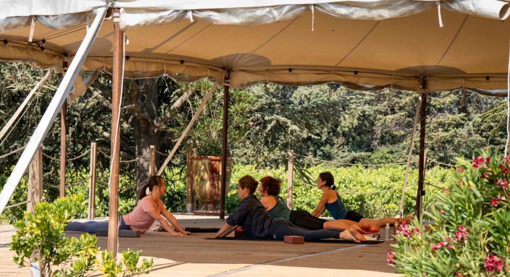 Yoga dans les vignes
