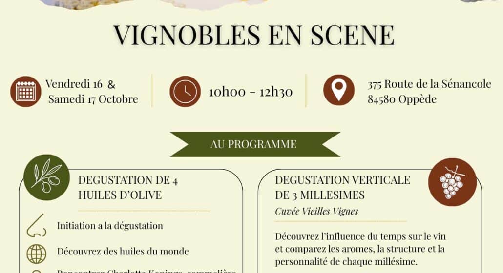 Vignobles en Scène : Atelier dégustation d'huile d'olive et dégustation verticale_Oppède