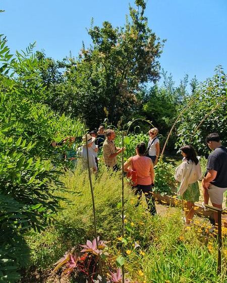 JEP 2026 - Visite guidée du jardin des plantes tinctoriales de Lauris_Lauris
